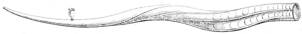Die Gartenlaube (1867) b 520 3.jpg Fig. 5. Hügel-Damarapfeife.