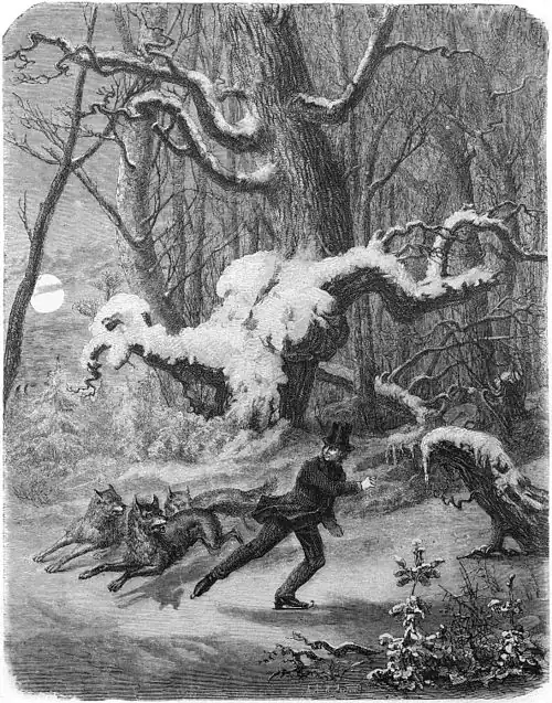 Die Gartenlaube (1867) b 829.jpg Ein Abenteuer auf dem Eise.