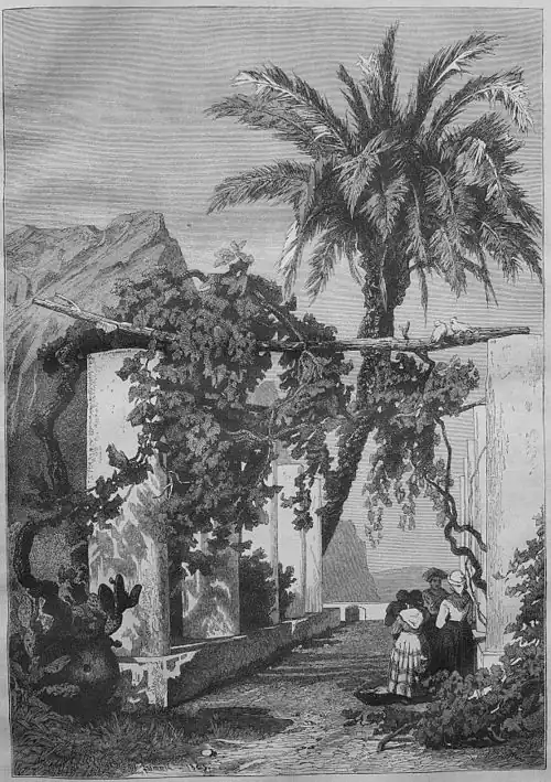 Die Gartenlaube (1868) b 045.jpg Die Palme des Hotel Pagano auf Capri (S)