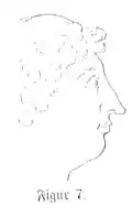 Die Gartenlaube (1868) b 377 5.jpg Figur 7