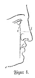 Die Gartenlaube (1868) b 378 2.jpg Figur 4