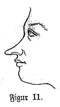 Die Gartenlaube (1868) b 378 3.jpg Figur 11
