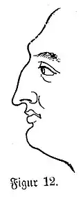 Die Gartenlaube (1868) b 378 4.jpg Figur 12