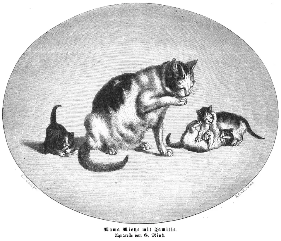Die Gartenlaube (1868) b 741 2.jpg Mama Mietze mit Familie. Aquarelle von G. Mind