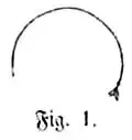 Die Gartenlaube (1868) b 823 1.jpg Fig. 1.