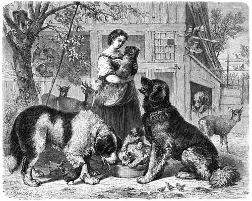 Die Gartenlaube (1869) b 005.jpg Marie im Kreise ihrer Lieblinge. Originalzeichnung von F. Specht.