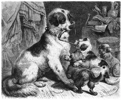 Die Gartenlaube (1869) b 759.jpg In der Hundekinderstube. Originalzeichnung von F. Specht.