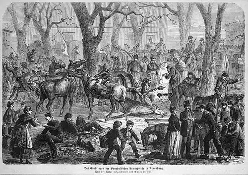 Die Gartenlaube (1871) b 257.jpg Das Einbringen der Bourbaki’schen Armeepferde in Neuenburg (S)