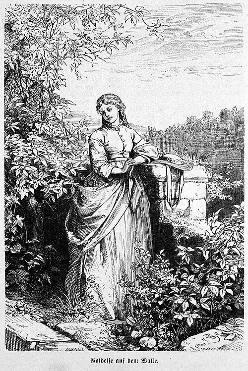 Die Gartenlaube (1871) b 804.jpg Goldelse auf dem Walle