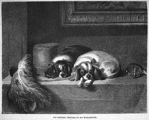 Die Gartenlaube (1871) b 829.jpg Ein lebendiges Spielzeug für den Weihnachtstisch