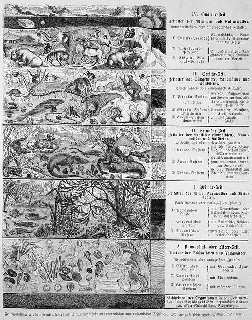 Die Gartenlaube (1872) b 153.jpg