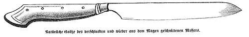 Die Gartenlaube (1872) b 201.jpg Natürliche Größe des verschluckten und wieder aus dem Magen geschnittenen Messers.