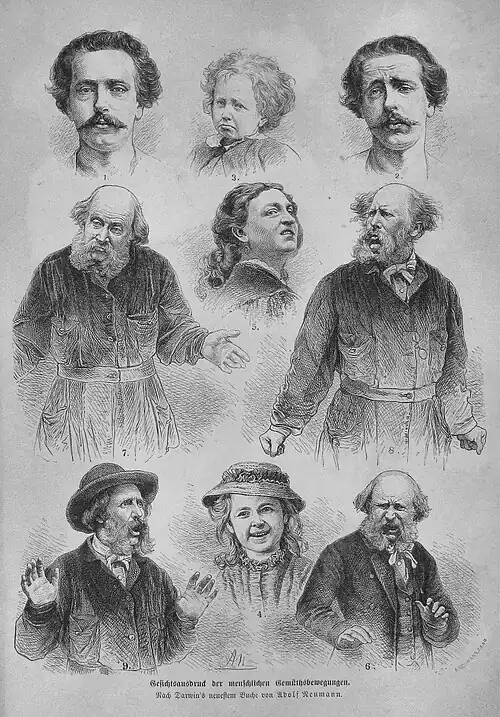 Die Gartenlaube (1873) b 305.jpg Gesichtsausdruck der menschlichen Gemüthsbewegungen. Nach Darwin’s neuestem Buche von Adolf Neumann (S)