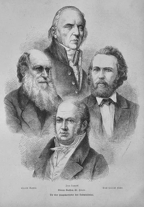 Evolutionstheorie