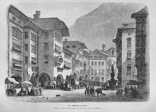 Die Gartenlaube (1873) b 719.jpg Der Obstplatz zu Bozen. Nach der Natur aufgenommen von Ferdin. Petzl in München (S)