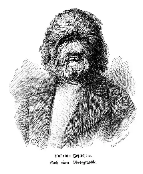 Die Gartenlaube (1874) b 061.jpg Andrian Jeftichew. Nach einer Photographie.