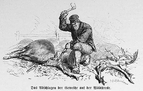Die Gartenlaube (1874) b 1 133.jpg Das Abschlagen der Geweihe auf der Wildstrecke. (Hermann Lüders)
