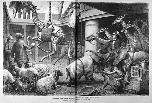 Die Gartenlaube (1874) b 646.jpg Ausladung einer Sendung afrikanischer Thiere aus dem Schiffe „Urano“ in Triest. Nach der Natur aufgenommen von H.&nbsp;Leutemann.