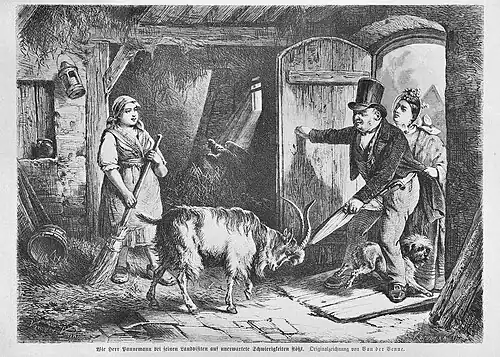 Die Gartenlaube (1875) b 321.jpg Wie Herr Pannemann bei seinen Landvisiten auf unerwartete Schwierigkeiten stößt