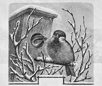 Die Gartenlaube (1875) b 840.jpg Bitte, Bitte!