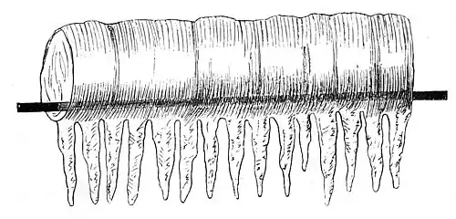 Die Gartenlaube (1877) b 180_3.jpg Reifeis auf dem Telegraphendrahte Fig. 3