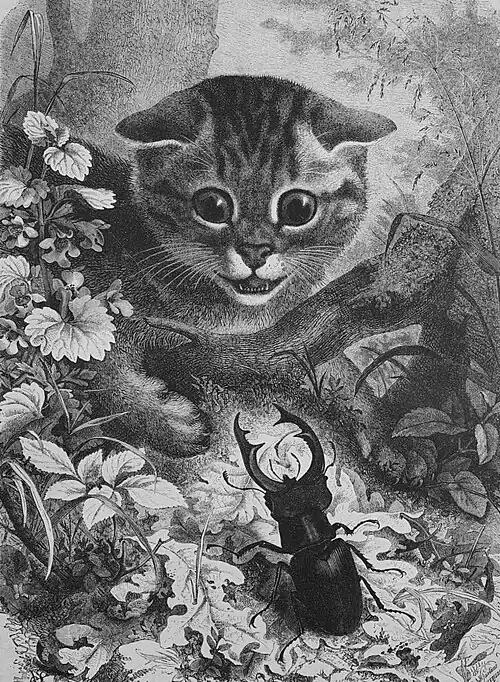 Die Gartenlaube (1878) b 327.jpg Eine neue Bekanntschaft. Originalzeichnung von E. Schmidt.