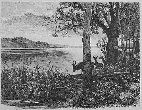 Die Gartenlaube (1878) b 641.jpg Der Werbellin-See. Nach der Natur aufgenommen von Wilhelm Claudius