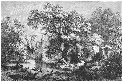 Die Gartenlaube (1878) b 697.jpg Burg Nimmersatt