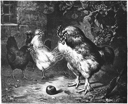 Die Gartenlaube (1879) b 181.jpg Das Urteil des Paris. Nach seinem Oelgemälde auf Holz gezeichnet von G. Süs