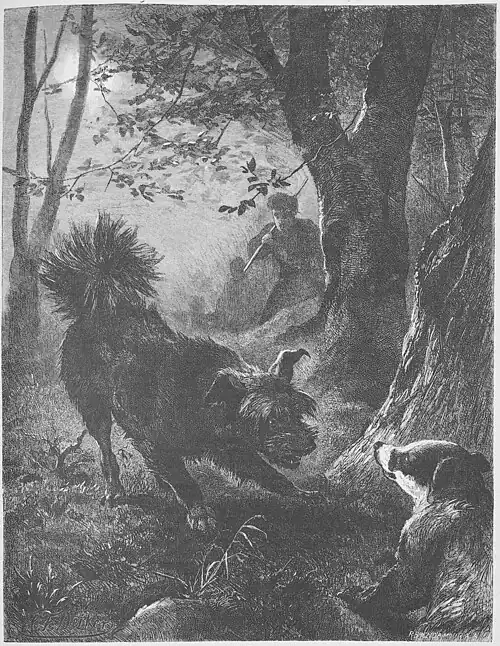 Die Gartenlaube (1879) b 605.jpg Der „verbellende“ Dachssucher. Nach dem Aquarell-Original von C. F. Deiker