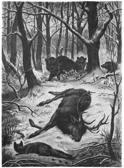 Die Gartenlaube (1880) b 045.jpg Ein Opfer des Winters. Originalzeichnung von G. Arnould (S)