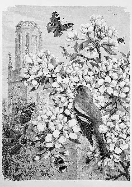 Die Gartenlaube (1880) b 257.jpg Frühlingsleben. Originalzeichnung von Emil Schmidt