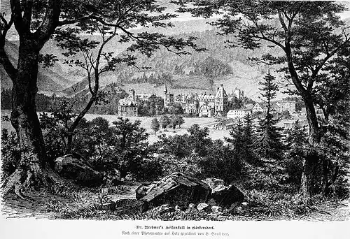 Die Gartenlaube (1880) b 401.jpg Dr. Brehmer’s Heilanstalt in Görbersdorf