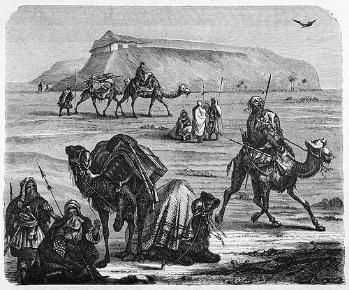 Die Gartenlaube (1881) b 065.jpg Tuareg in der Sahara
