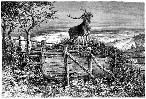 Die Gartenlaube (1883) b 385.jpg (S) Am Einsprung. Originalzeichnung von Ferdinand Lindner.