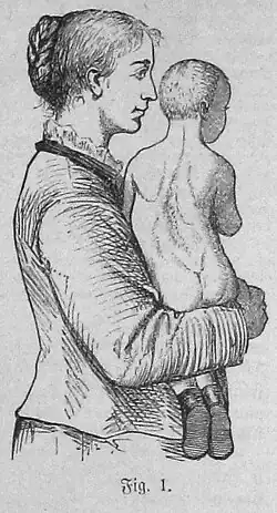 Die Gartenlaube (1883) b 538.jpg