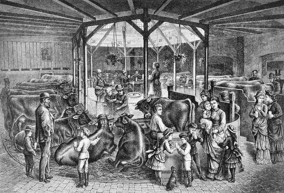 Die Gartenlaube (1883) b 605.jpg (S) Centralstelle der Wisse’schen Milchcuranstalt in Dresden. Originalzeichnung von Ing. von Hartitzsch