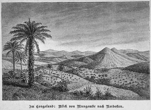 Die Gartenlaube (1883) b 796 2.jpg