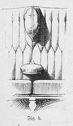 Die Gartenlaube (1884) b 019_2.jpg Fig. h.