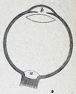 Die Gartenlaube (1884) b 094_3.jpg Fig. 3