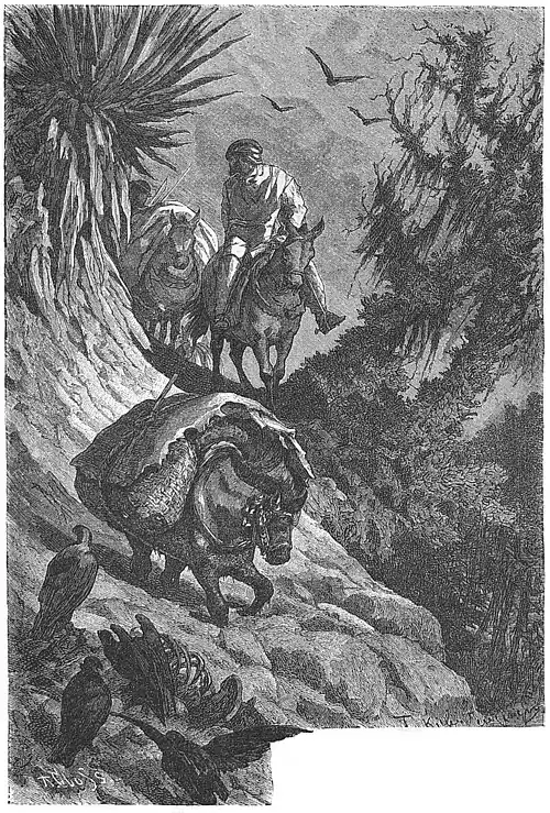 Die Gartenlaube (1884) b 283.jpg Vortrab eines brasilianschen Kaffee-Transports