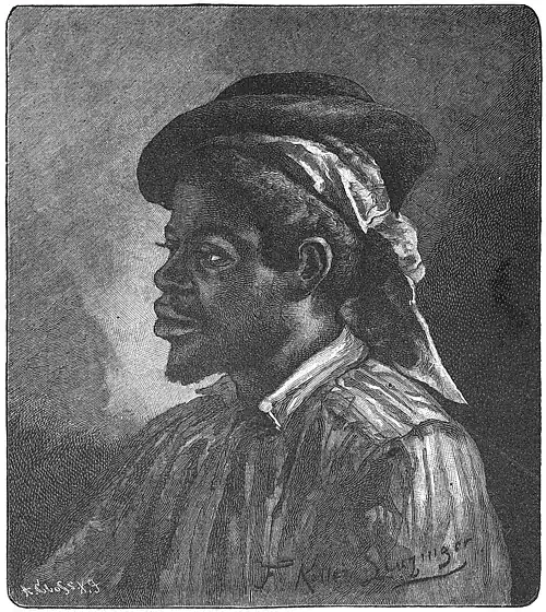Die Gartenlaube (1884) b 284_1.jpg Brasilianischer Maulthiertreiber Originalzeichnung von F. Keller-Leuzinger