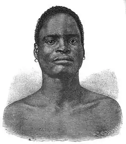 Die Gartenlaube (1884) b 610_2.jpg Kru-Neger