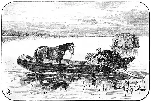 Die Gartenlaube (1884) b 626_2.jpg Fahrt von der Weide