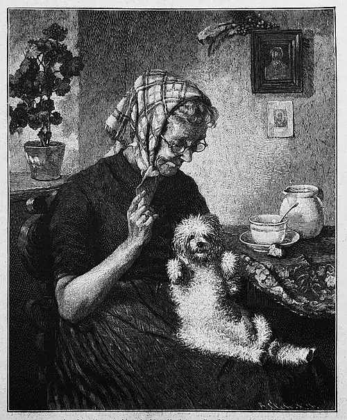 Die Gartenlaube (1885) b 073.jpg Großmutters Zeitvertreib