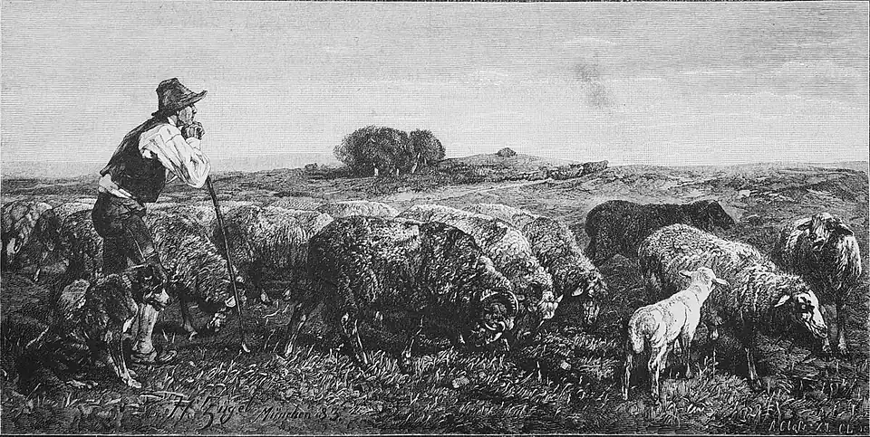Die Gartenlaube (1885) b 501.jpg Weidende Schafherde Nach dem Oelgemälde von H. Zägel