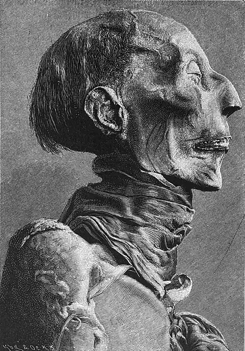 Die Gartenlaube (1886) b 831.jpg Kopf der Mumie Ramses’ II. Nach einer photographischen Orginalaufnahme