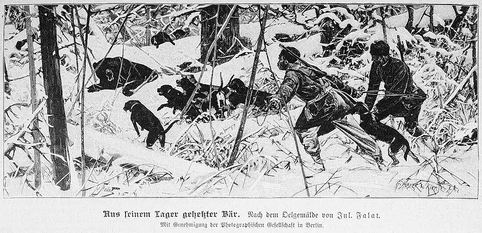 Die Gartenlaube (1887) b 225.jpg Aus seinem Lager gehetzter Bär. Nach dem Oelgemälde von Jul. Falat. Mit Genehmigung der Photographischen Gesellschaft in Berlin.