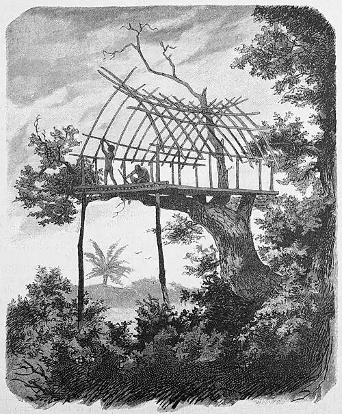 Die Gartenlaube (1887) b 289.jpg Baumhaus im Küstenland von Milne-Bai. Nach einer Skizze von Dr. O. Finsch.