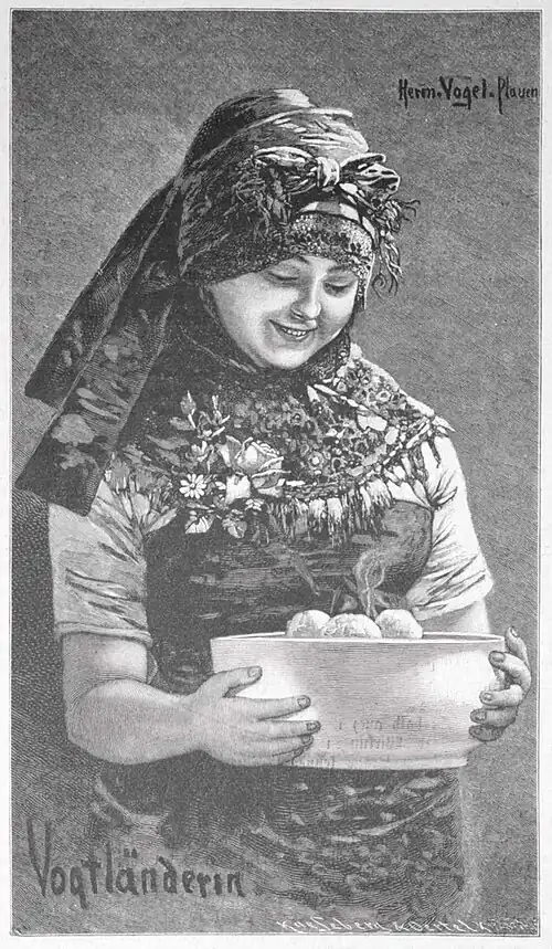 Die Gartenlaube (1888) b 493.jpg Vogtländering